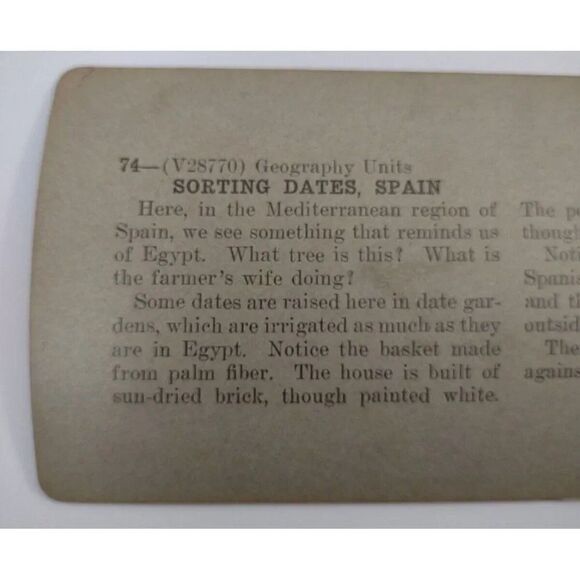 Lady Sorting Dates in Spain Keystone Stereoview - Picture 5 of 8